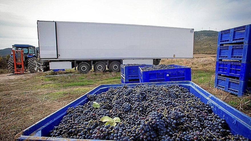 El final de la pandemia incrementó las exportaciones de vino navarro al exterior.