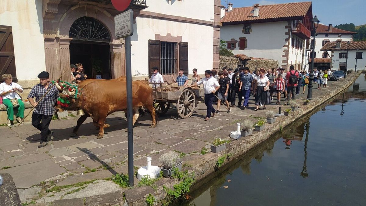 El carro cargado de mineral de hierro, tirado por bueyes, llegando a la plaza de Urdazubi.