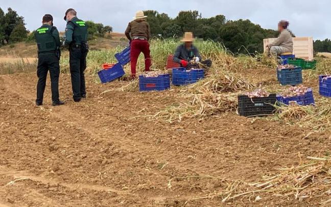 Una inspección contra la explotación de temporeros en el Estado. Una inspección contra la explotación de temporeros en el Estado.