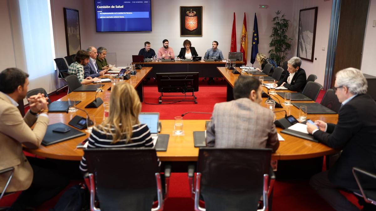 Sesión que el partido cannábico Luz Verde ha protagonizado este miércoles en el Parlamento de Navarra.