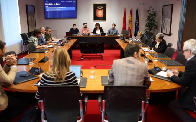Sesión que el partido cannábico Luz Verde ha protagonizado este miércoles en el Parlamento de Navarra. Sesión que el partido cannábico Luz Verde ha protagonizado este miércoles en el Parlamento de Navarra.