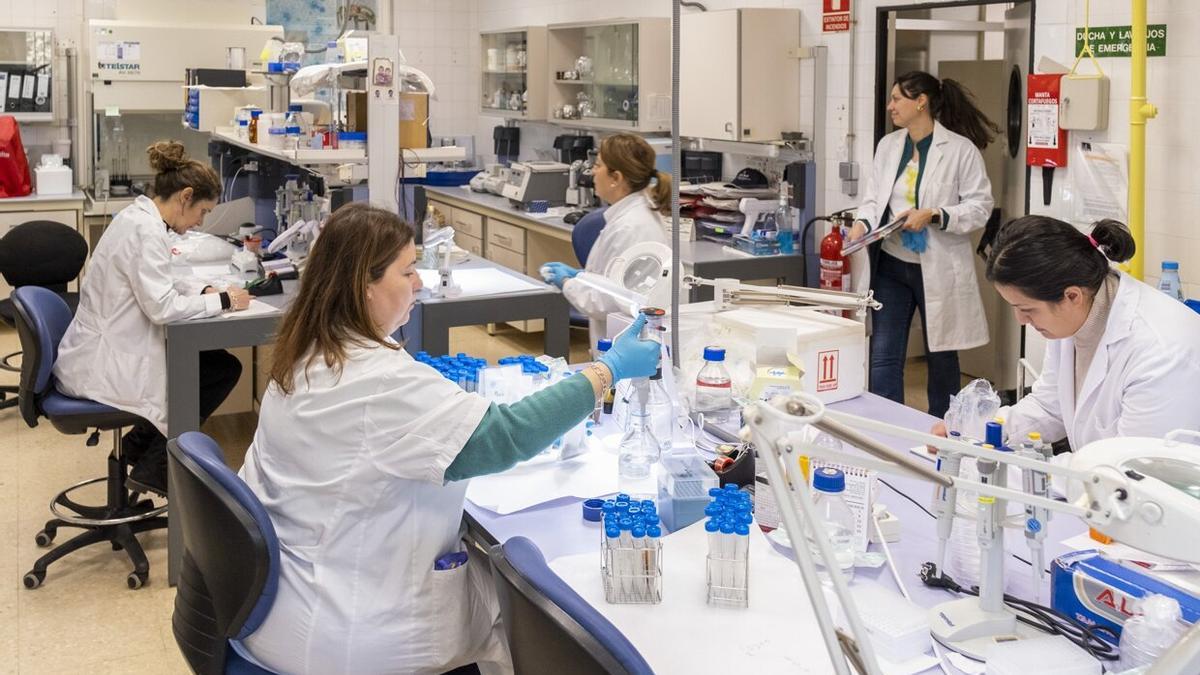 Laboratorio donde se testea la vacuna para las abejas