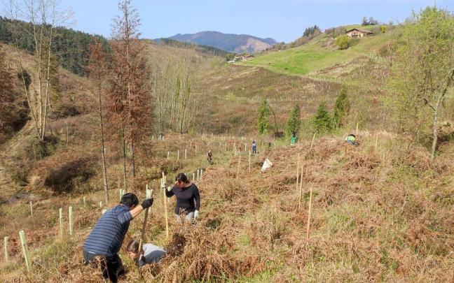 Imagen de una jornada de plantaci&oacute;n impulsada por Ekoetxea Urdaibai para compensar sus emisiones de CO2.