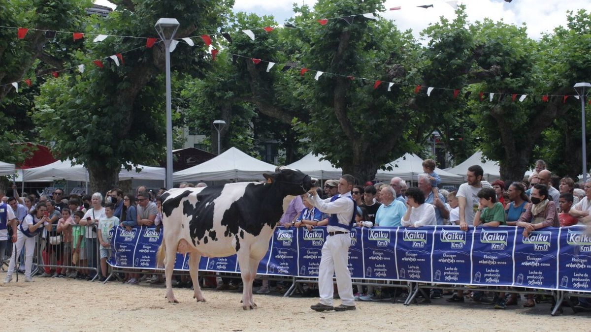 Vaca Ganadora Irun 2022