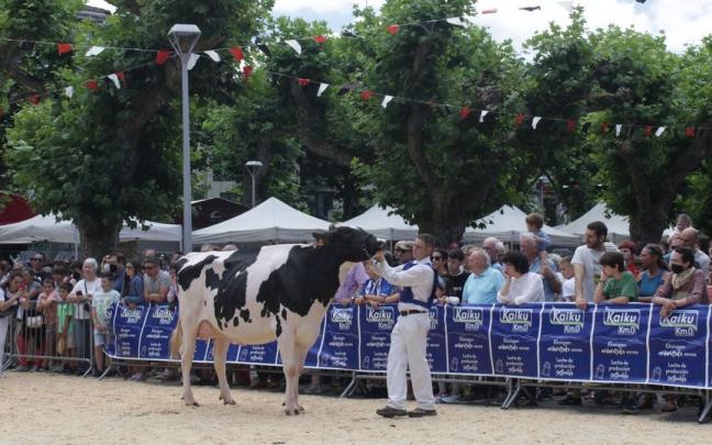Vaca Ganadora Irun 2022