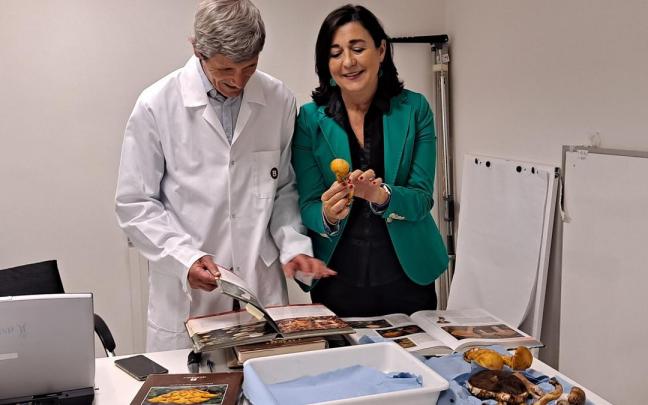 Martxan da perretxikoak identifikatzeko doako zerbitzua.