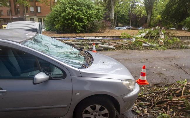 Coche dañado tras la tormenta de ayer en Vitoria Coche dañado tras la tormenta de ayer en Vitoria