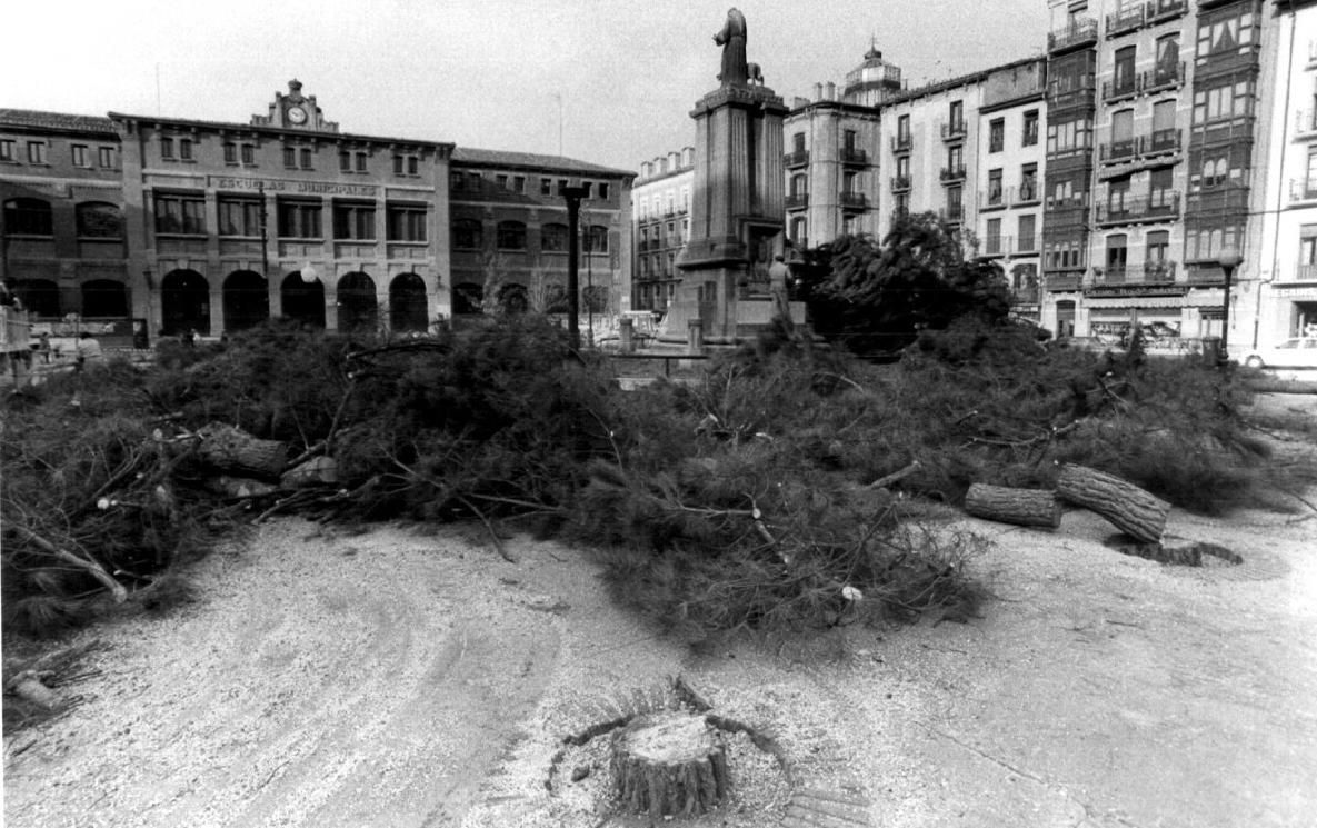 Imagen de los árboles talados en la plaza, en febrero de 1992