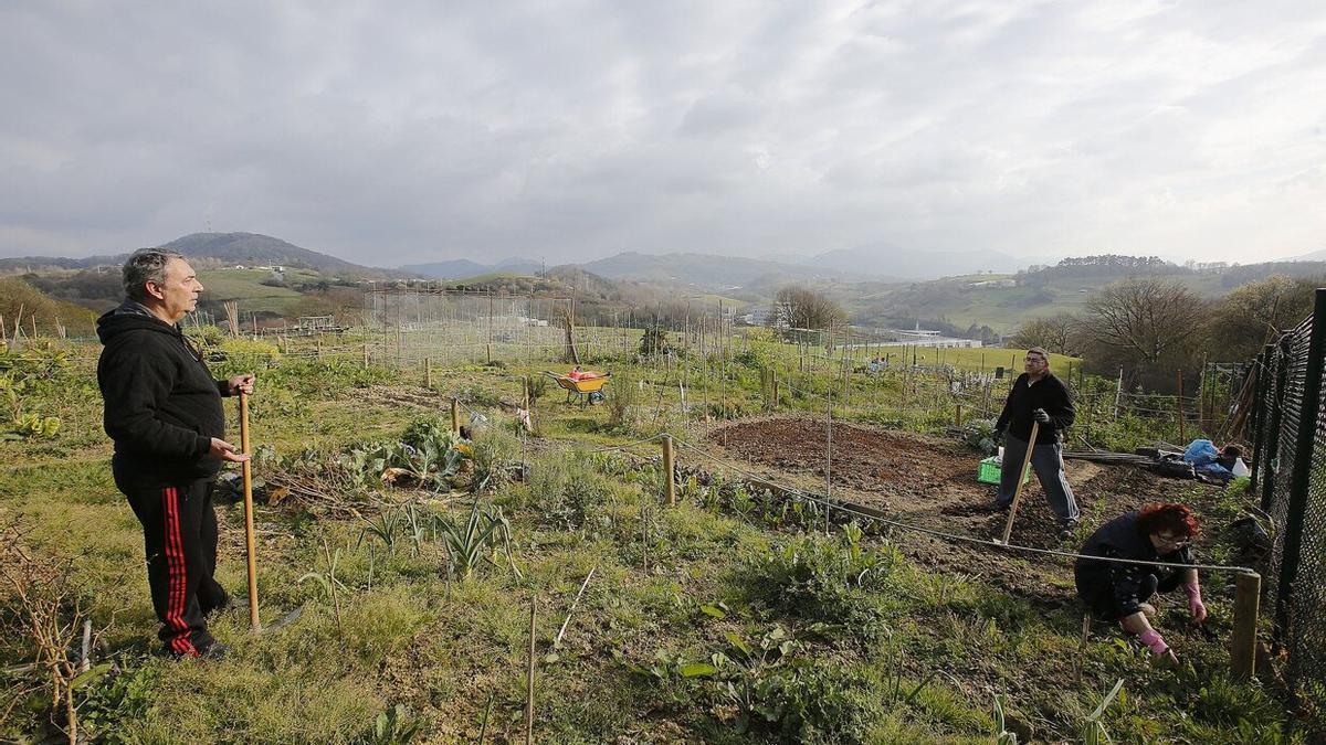 Zona de huertas ciudadanas de Altza.