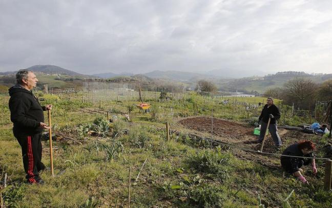 Zona de huertas ciudadanas de Altza. Zona de huertas ciudadanas de Altza.