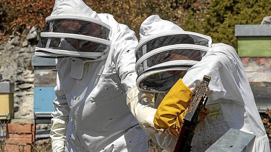 Dos apicultores en un colmenar en la sierra de Arkamo.