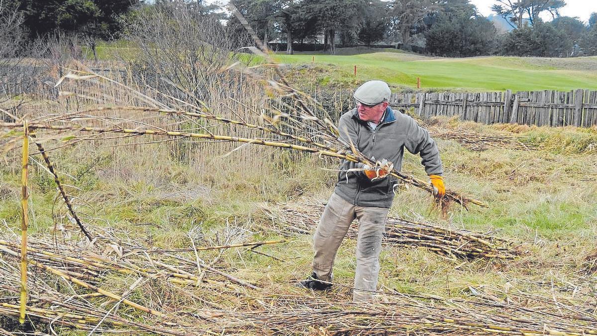 Arkamurkako Natur Taldeko kide bat kainaberak pilatzen. | ARGAZKIA: ARKAMURKA