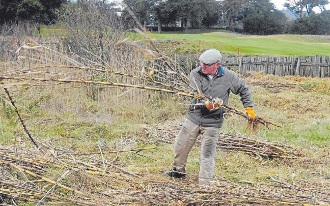 Arkamurkako Natur Taldeko kide bat kainaberak pilatzen. | ARGAZKIA: ARKAMURKA