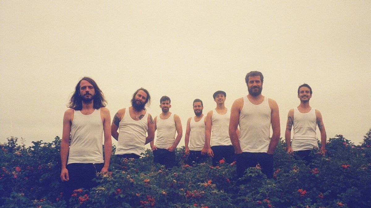 La agrupaci&oacute;n actual de la Maravillosa Orquesta del Alcohol.