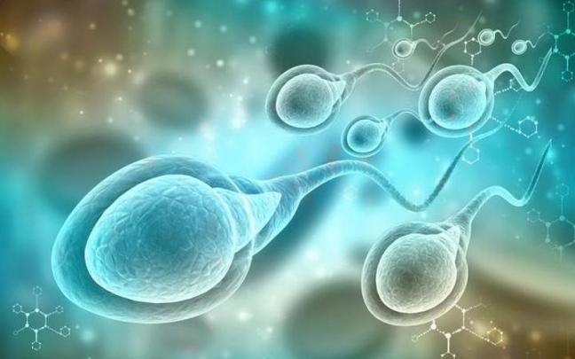 El f&aacute;rmaco detuvo la movilidad de los espermatozoides durante horas.