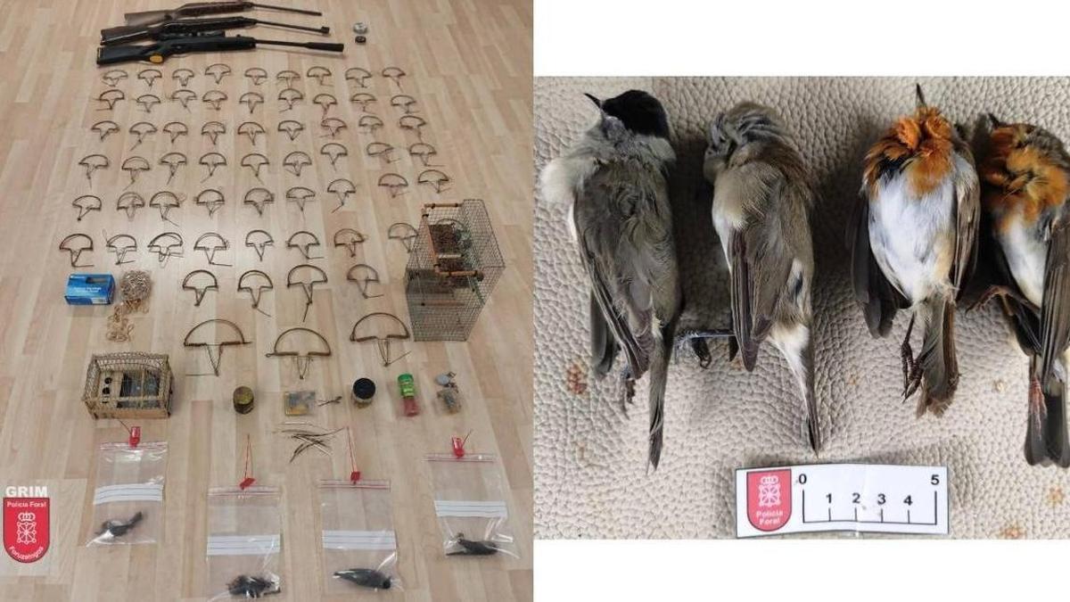 Artes prohibidas y aves protegidas incautadas