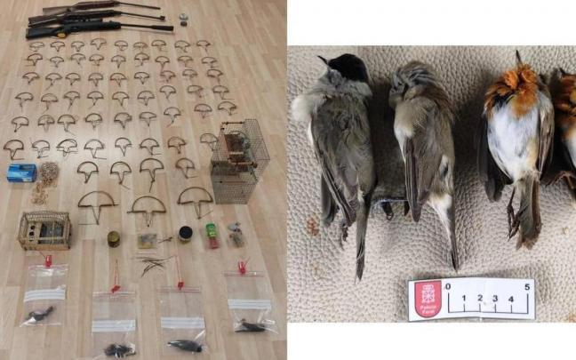 Artes prohibidas y aves protegidas incautadas