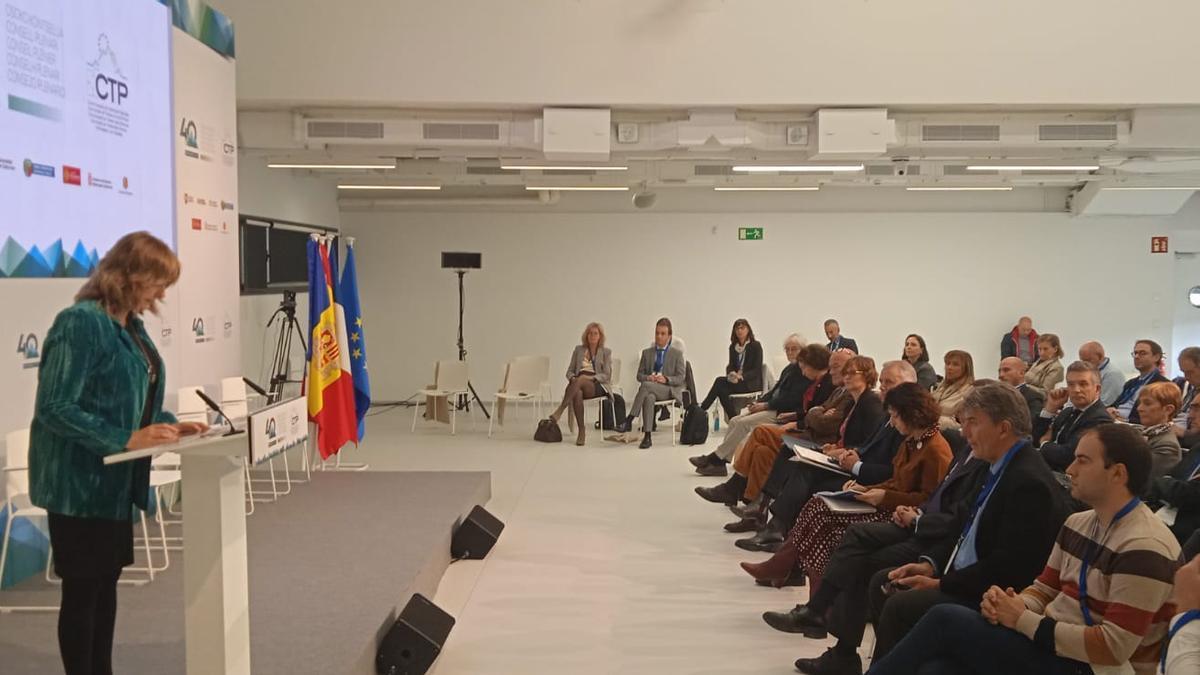 La consejera Ollo, durante su intervención en el plenario de la Comunidad de Trabajo de los Pirineos