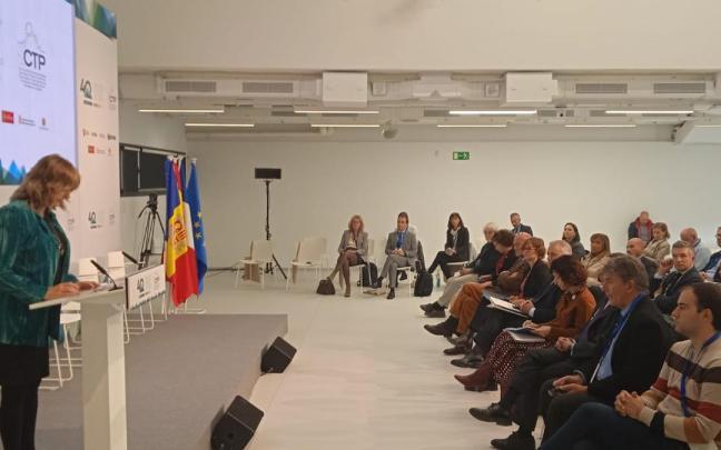 La consejera Ollo, durante su intervenci&oacute;n en el plenario de la Comunidad de Trabajo de los Pirineos