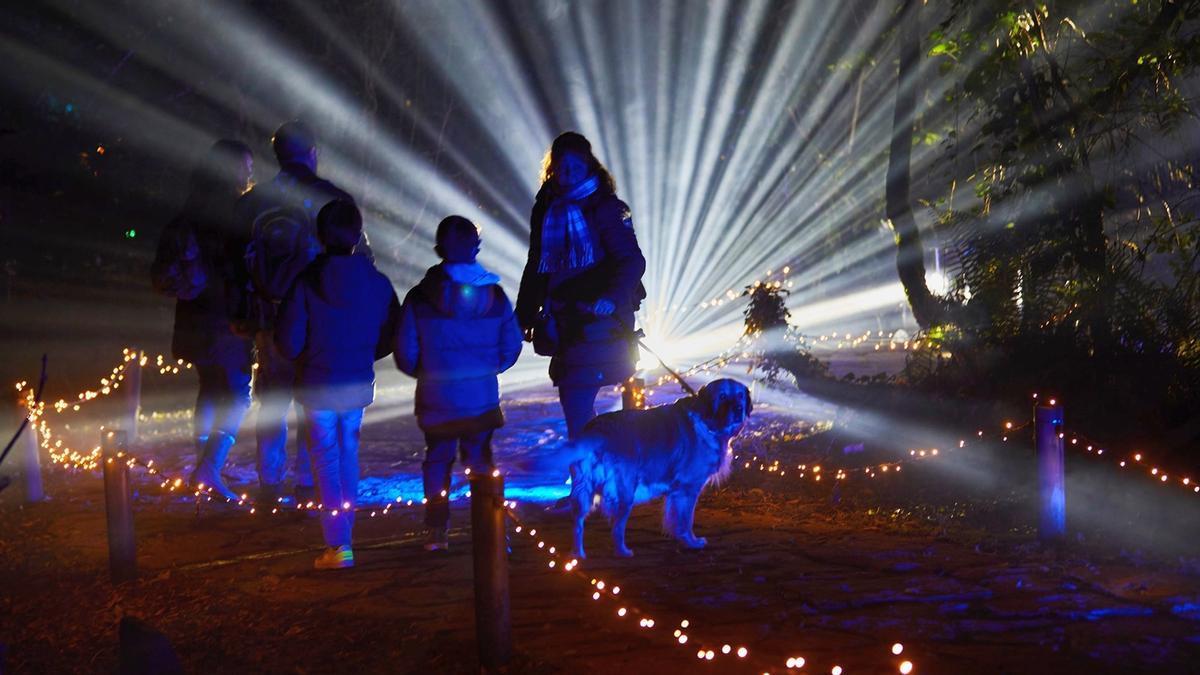 El ‘Bosque de los deseos’ llegó a congregar el año pasado, durante tres noches, a 22.000 personas.