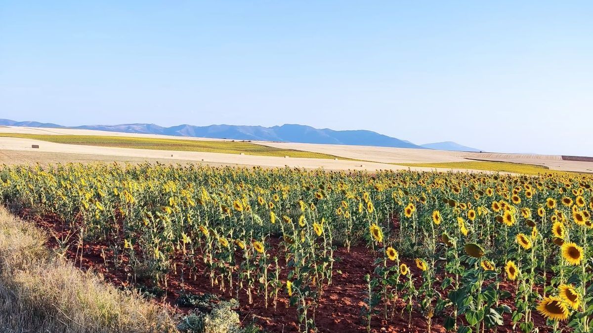 De vacaciones al pueblo