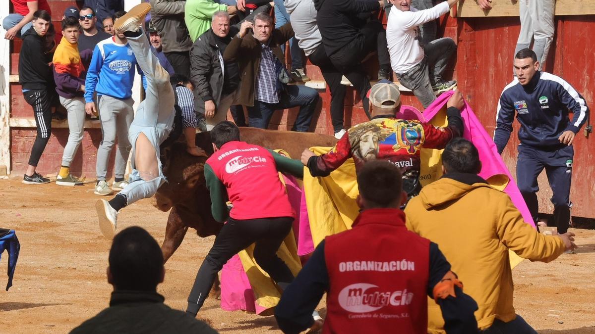 Un toro pilla a uno de los mozos en la Plaza Mayor de Ciudad Rodrigo donde se celebra el Carnaval del Toro 2023.