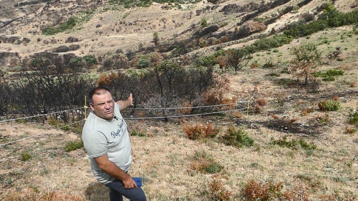 Pedro Berrade, ganadero de Ujué que participa en la campaña.