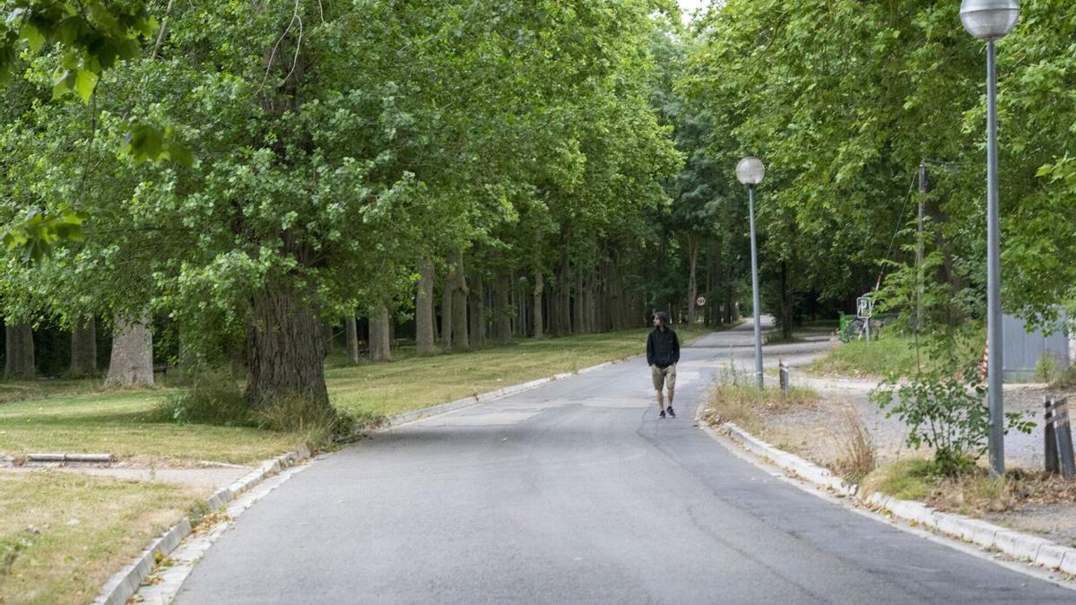 Parque de Olarizu