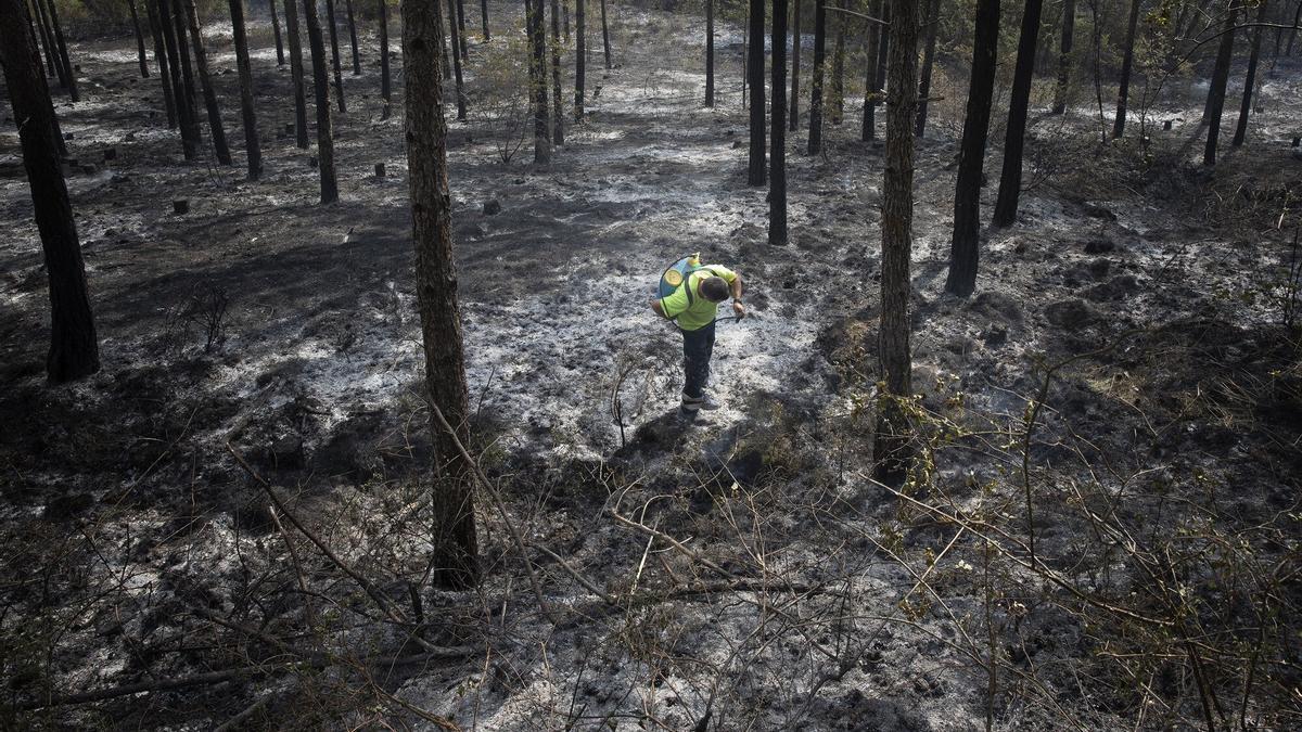 Incendios en Navarra.