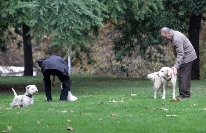 Dos hombres en un parque con sus perros