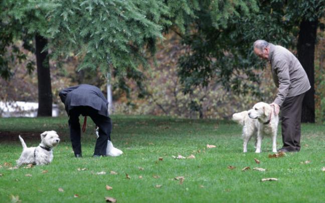 Dos hombres en un parque con sus perros Dos hombres en un parque con sus perros