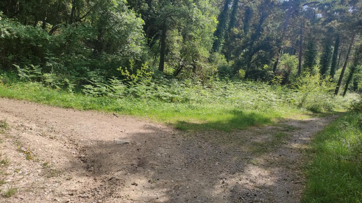 Primer cruce de pista