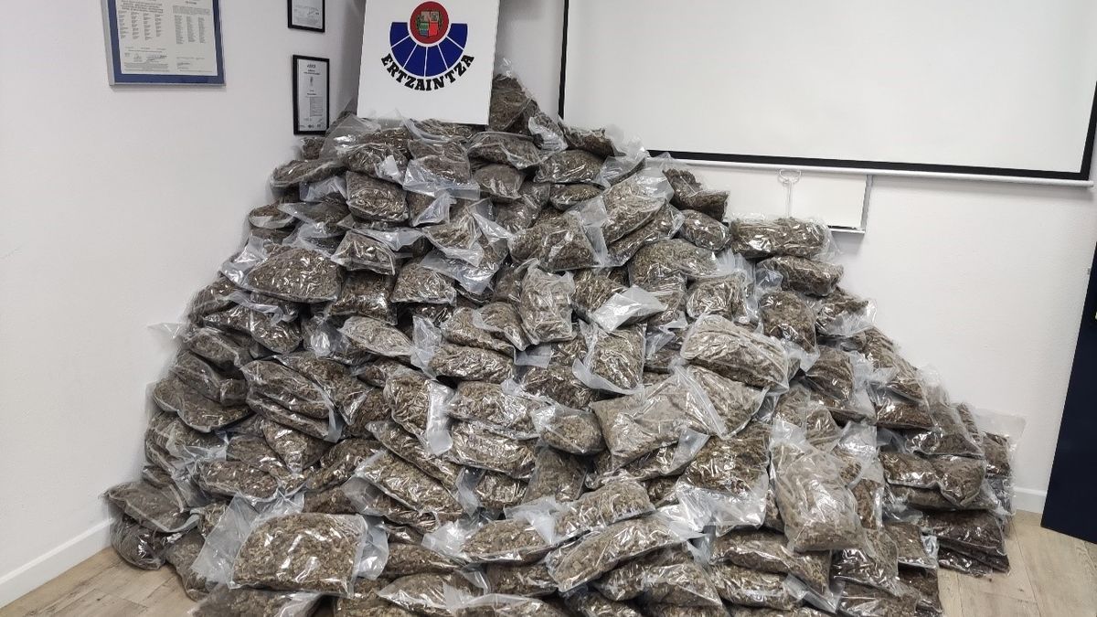 La Ertzaintza incauta 700 kilos de marihuana abandonados en Abanto-Zierbena