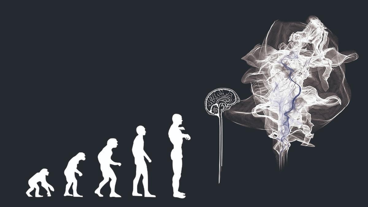 La evolución hacia la Inteligencia Artificial
