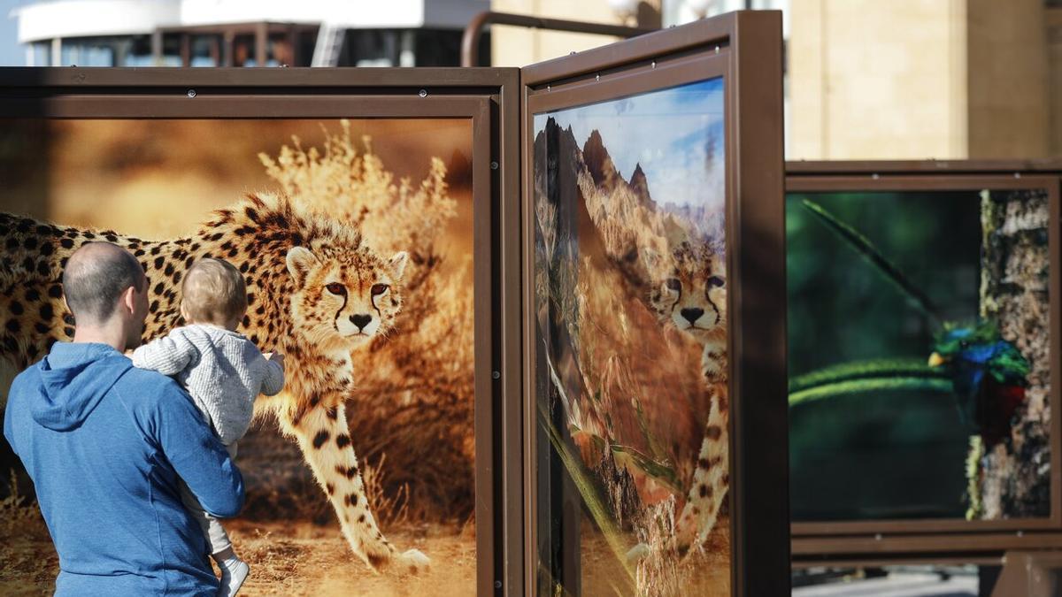 Exposición de paraísos de fotógrafos de National Geographic en Donostia
