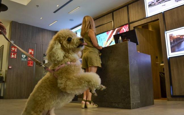 Una mujer con su mascote hace el cheking en un hotel de la capital vizcaina. Una mujer con su mascote hace el cheking en un hotel de la capital vizcaina.