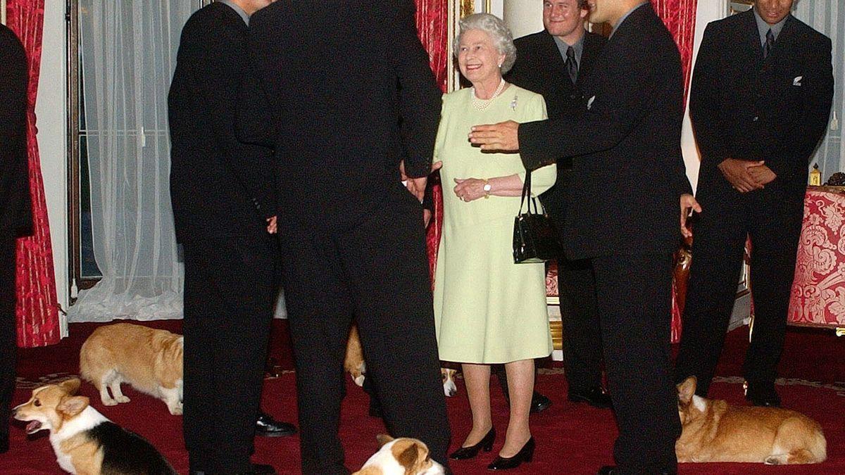 Isabel II rodeada de sus corgis en una visita a Nueva Zelanda.