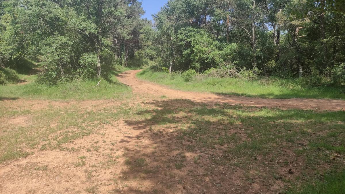 Cruce con pista cimera