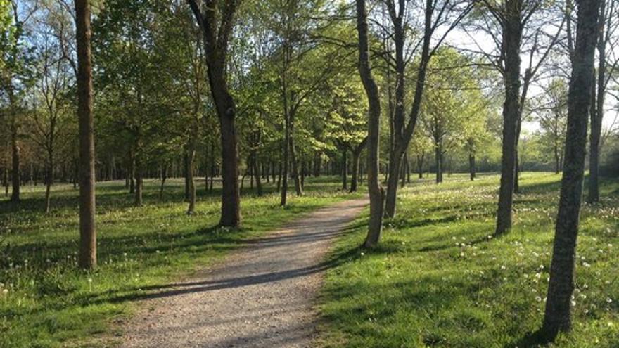 El bosque de Armentia en Vitoria
