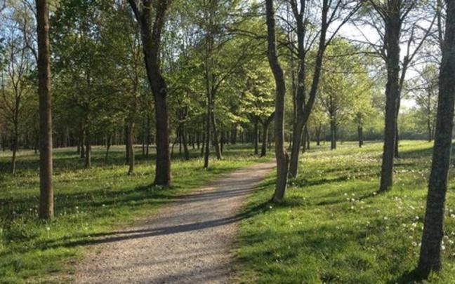 El bosque de Armentia en Vitoria