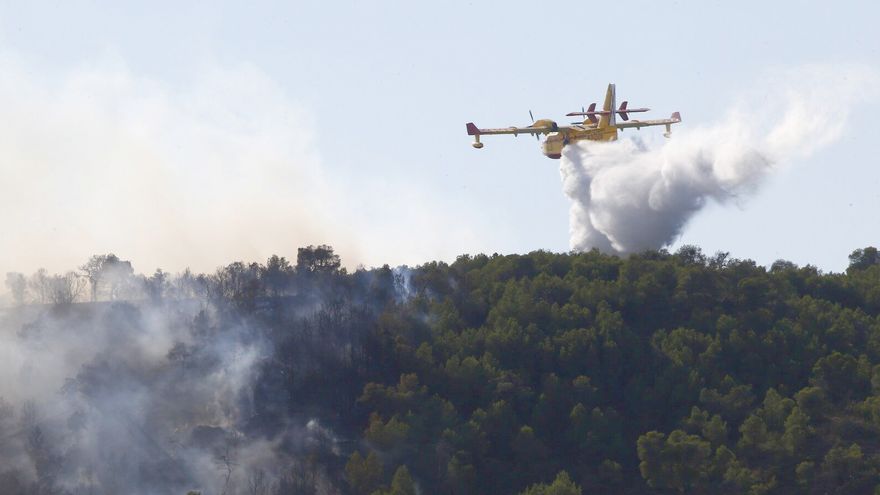 Incendio en Carcastillo: “Hemos tenido que llevarnos a nuestros 12 perros a todo correr”