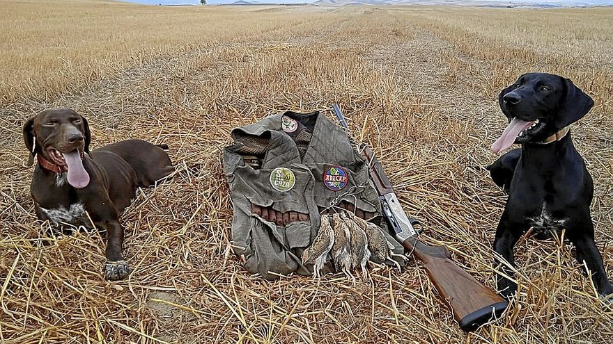 Dos perros utilizados para la caza posan con varias aves cazadas. | FOTO: N.G.