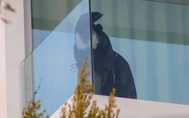 La bruja que mira desde el balcón de casa de Shakira hacia la vecina vivienda de sus suegros. La bruja que mira desde el balcón de casa de Shakira hacia la vecina vivienda de sus suegros.