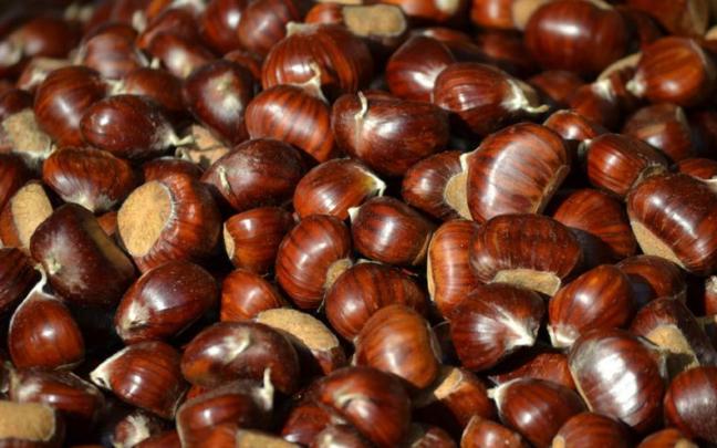 Al finalizar la kalejira se repartirán castañas y chocolate caliente Al finalizar la kalejira se repartirán castañas y chocolate caliente