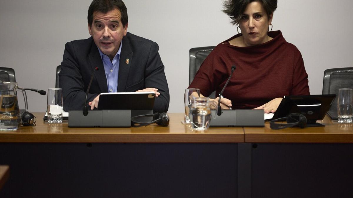 El consejero Mikel Irujo y María Solana, durante la comparecencia en la comisión de Desarrollo Económico sobre la compra de mascarillas por Sodena