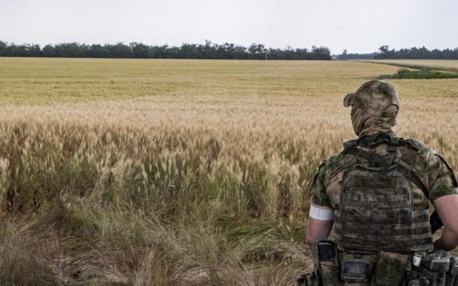 Un soldado ruso patrulla junto a un campo de cereal en Melitopol, Zaporizhia.