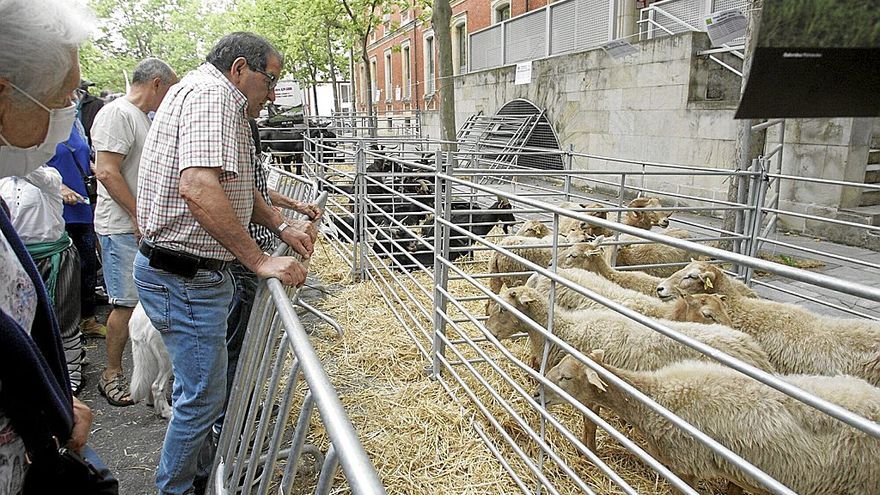 Lerro hauekin batera agertzen diren irudietan, atzo animalien erakusketarekin egindako azoka. | ARGAZKIAK: JOSU CHAVARRI