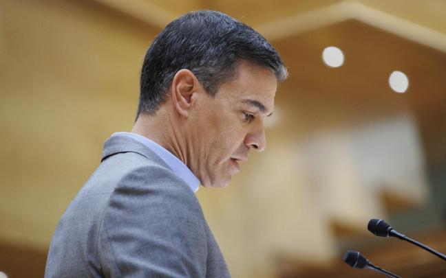 Pedro S&aacute;nchez.