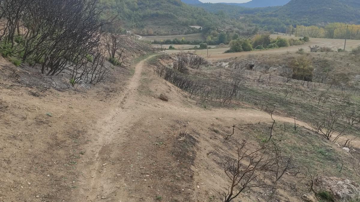 Sendero a la derecha y cruce carretera