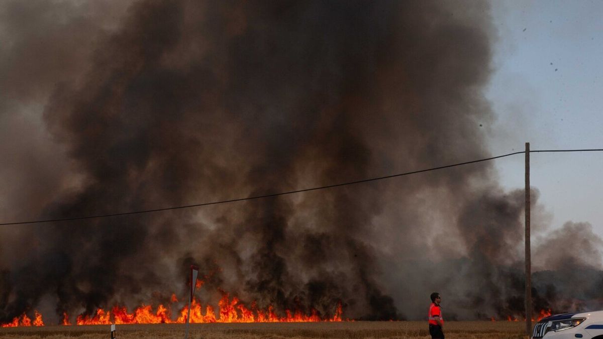 Incendio este verano en la zona de Argandoña